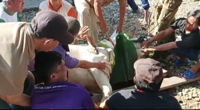 Warga Purwodeso Serempak Laksanakan Kurban di Wilayah Masing-masing